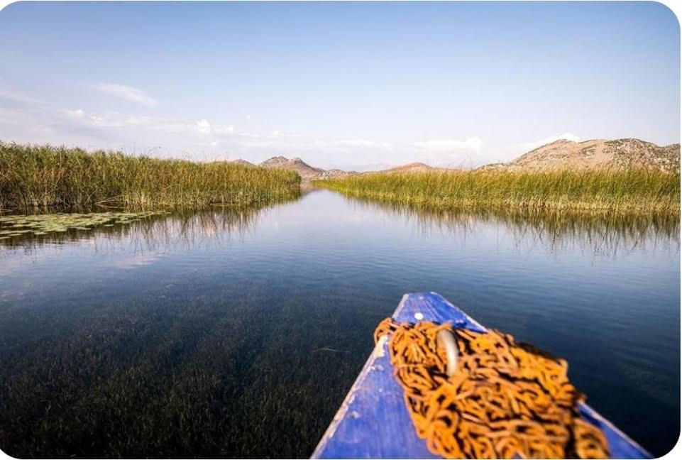 Haustor Skadar Lake Podgorica Exteriör bild