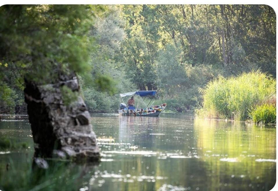 Haustor Skadar Lake Podgorica Exteriör bild