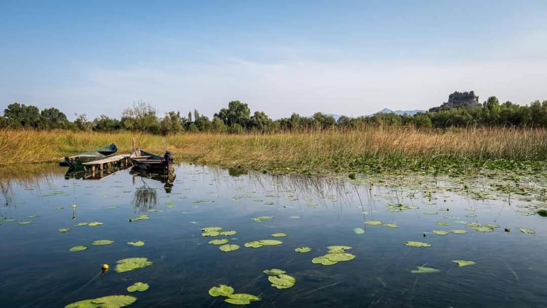 Haustor Skadar Lake Podgorica Exteriör bild