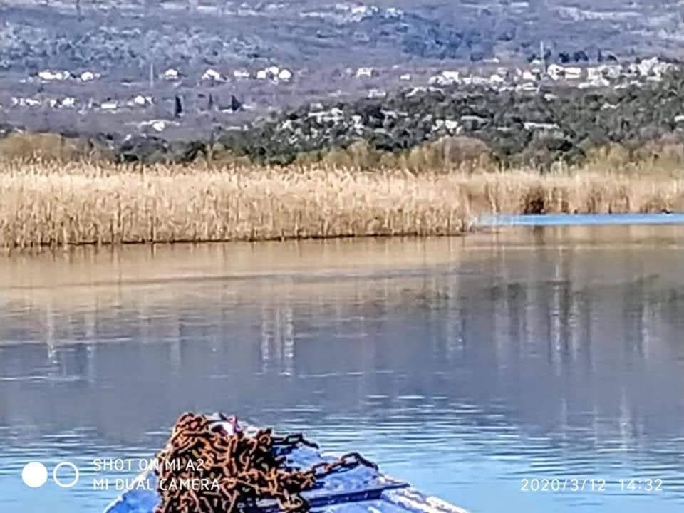 Haustor Skadar Lake Podgorica Exteriör bild