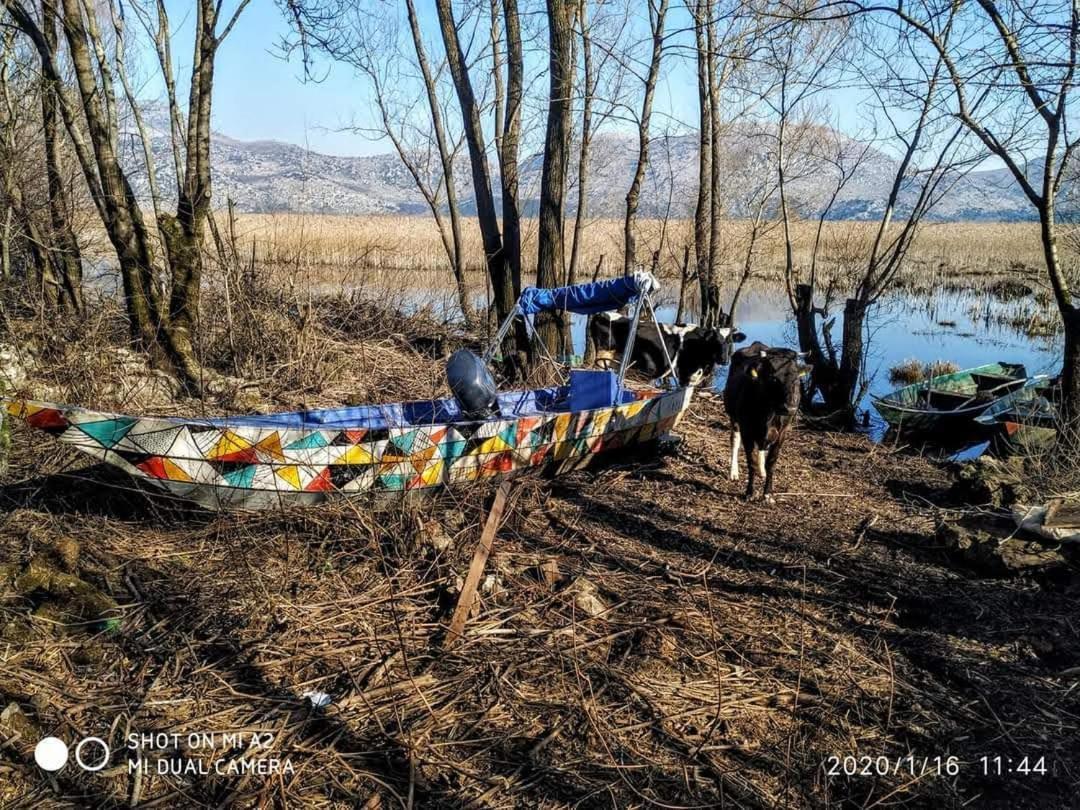 Haustor Skadar Lake Podgorica Exteriör bild