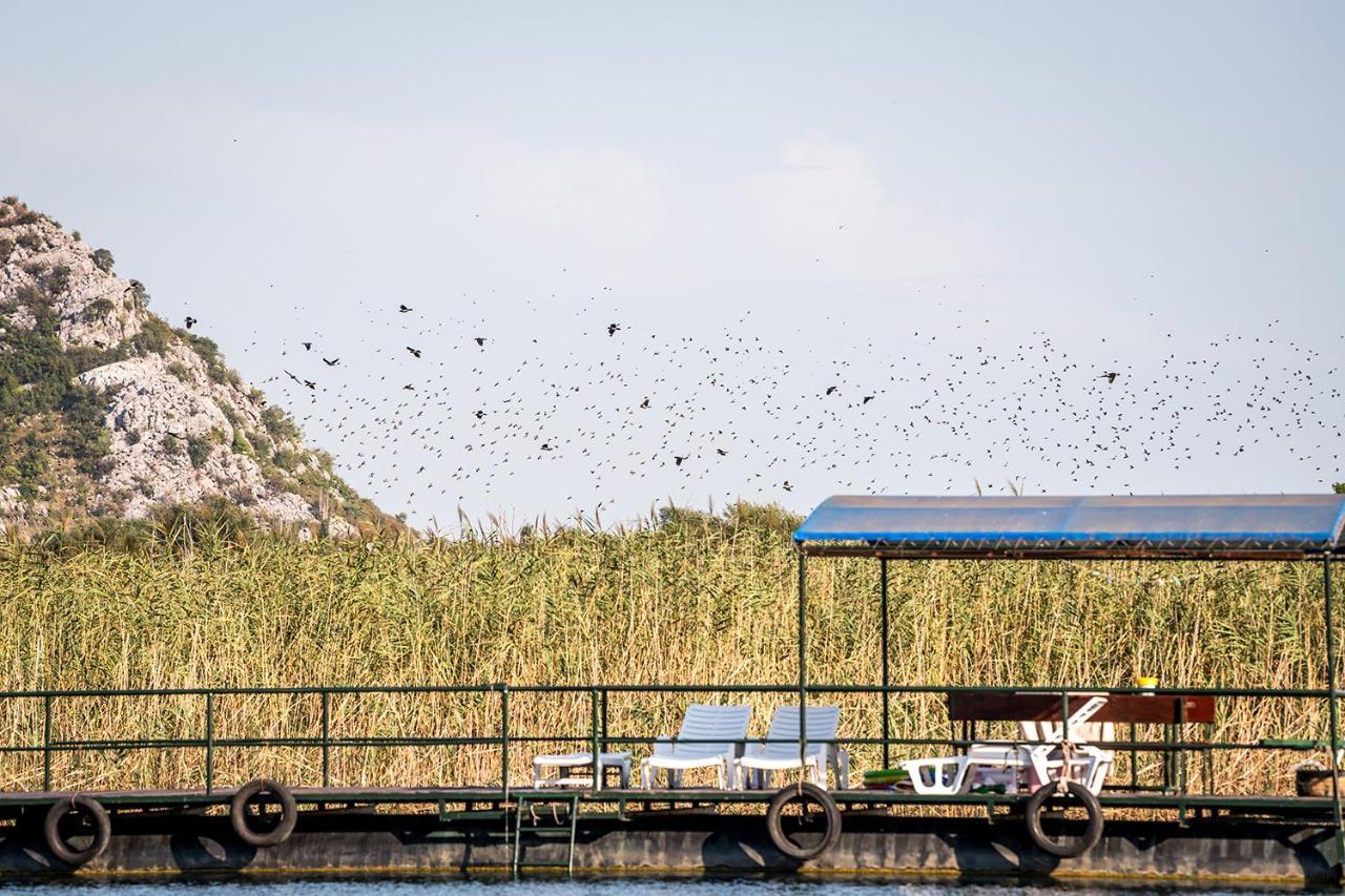 Haustor Skadar Lake Podgorica Exteriör bild