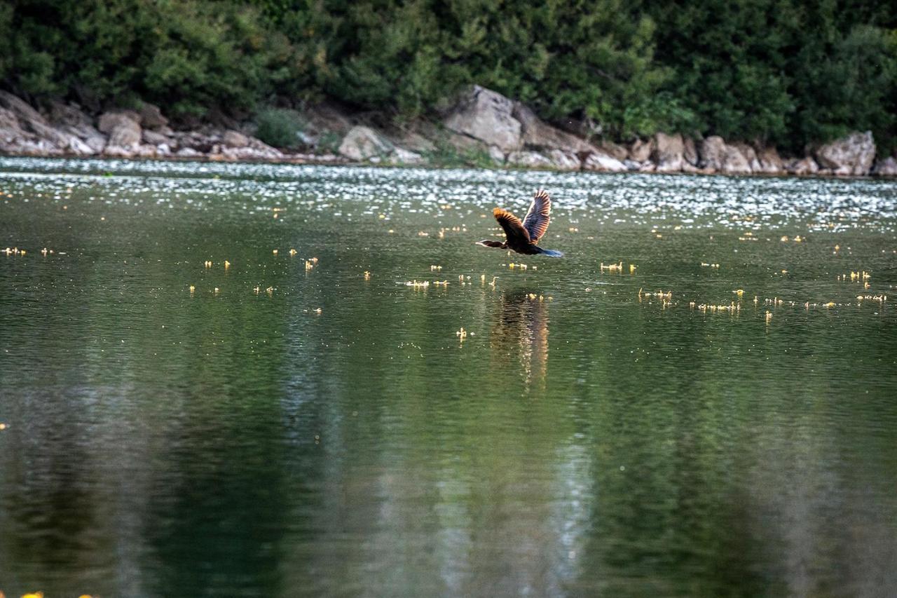 Haustor Skadar Lake Podgorica Exteriör bild